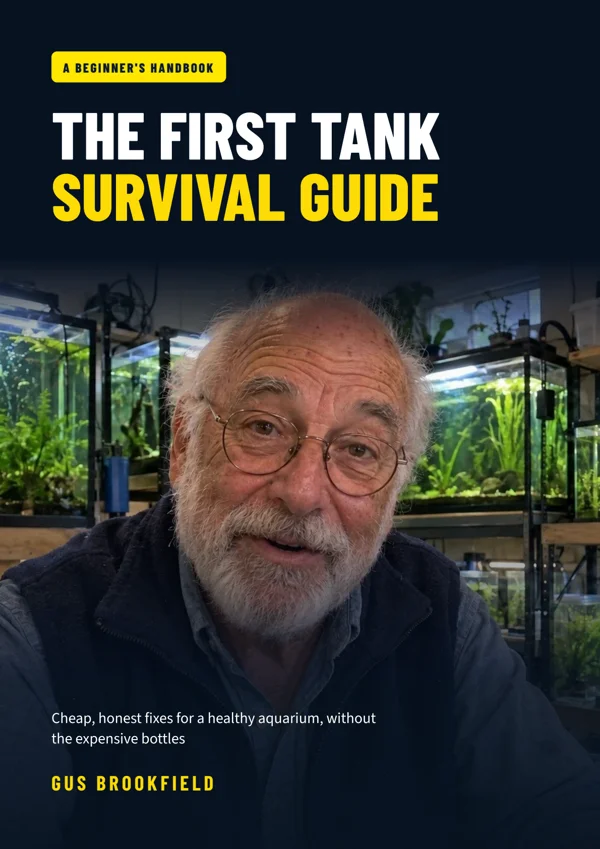 Cover of The First Tank Survival Guide by Gus Brookfield